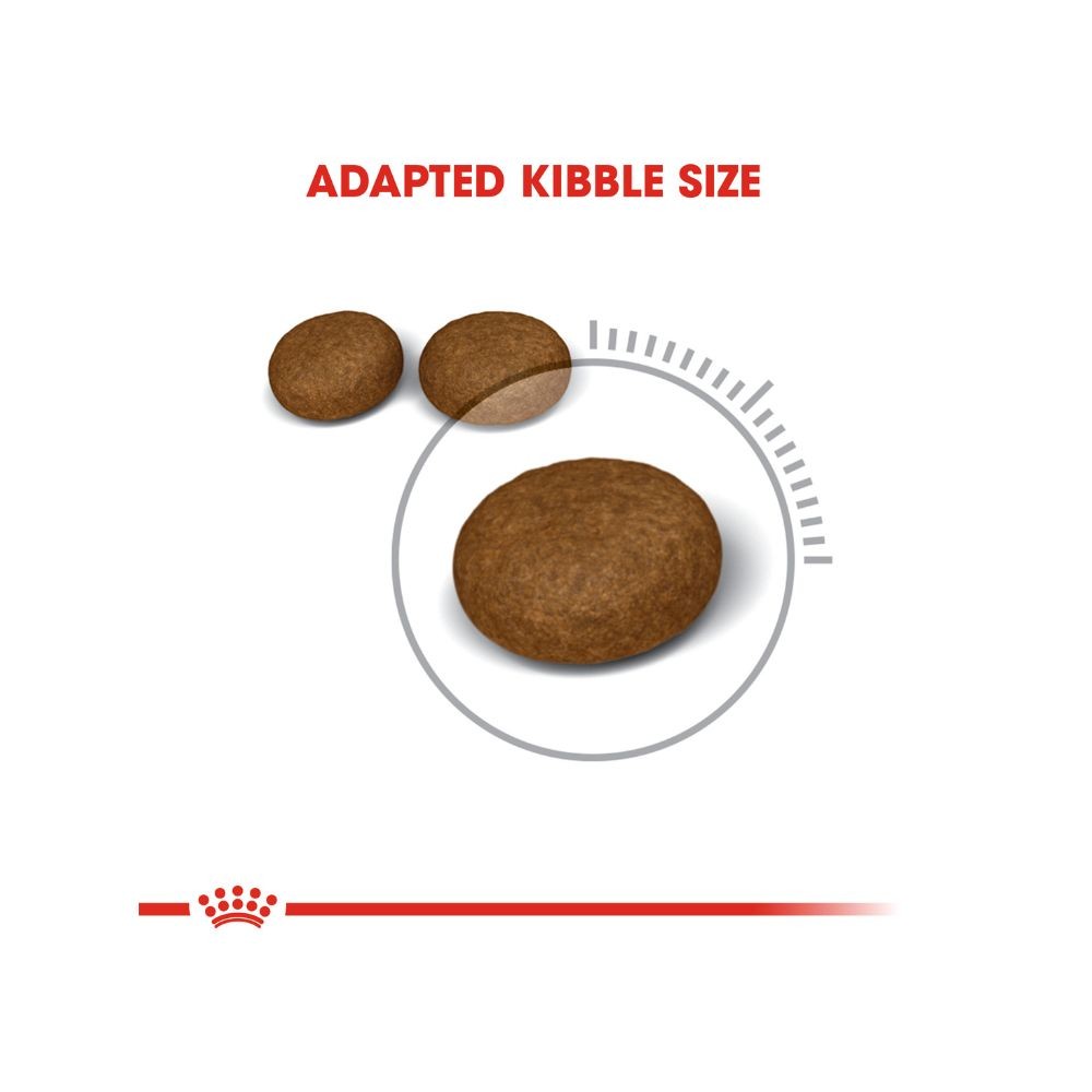 ROYAL CANIN HAIR & SKIN 33 10KG DRY CAT FOOD image 3