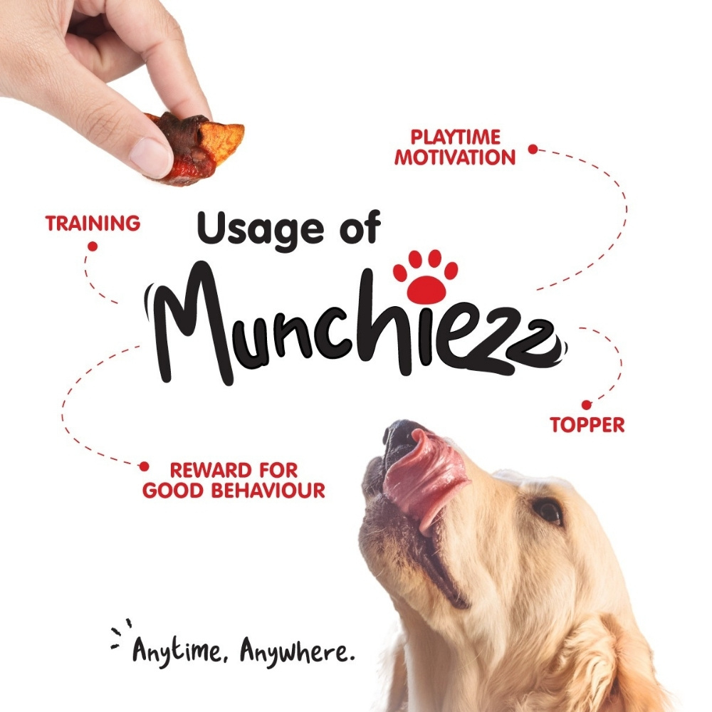 PROBALANCE MUNCHIEZZ 100G CHICKEN & PUMPKIN WRAPS DOG SNACK image 3