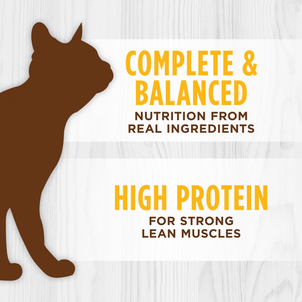 INSTINCT CAT ORIGINAL 85G (3OZ) REAL CHICKEN RECIPE WET CAT FOOD image 3