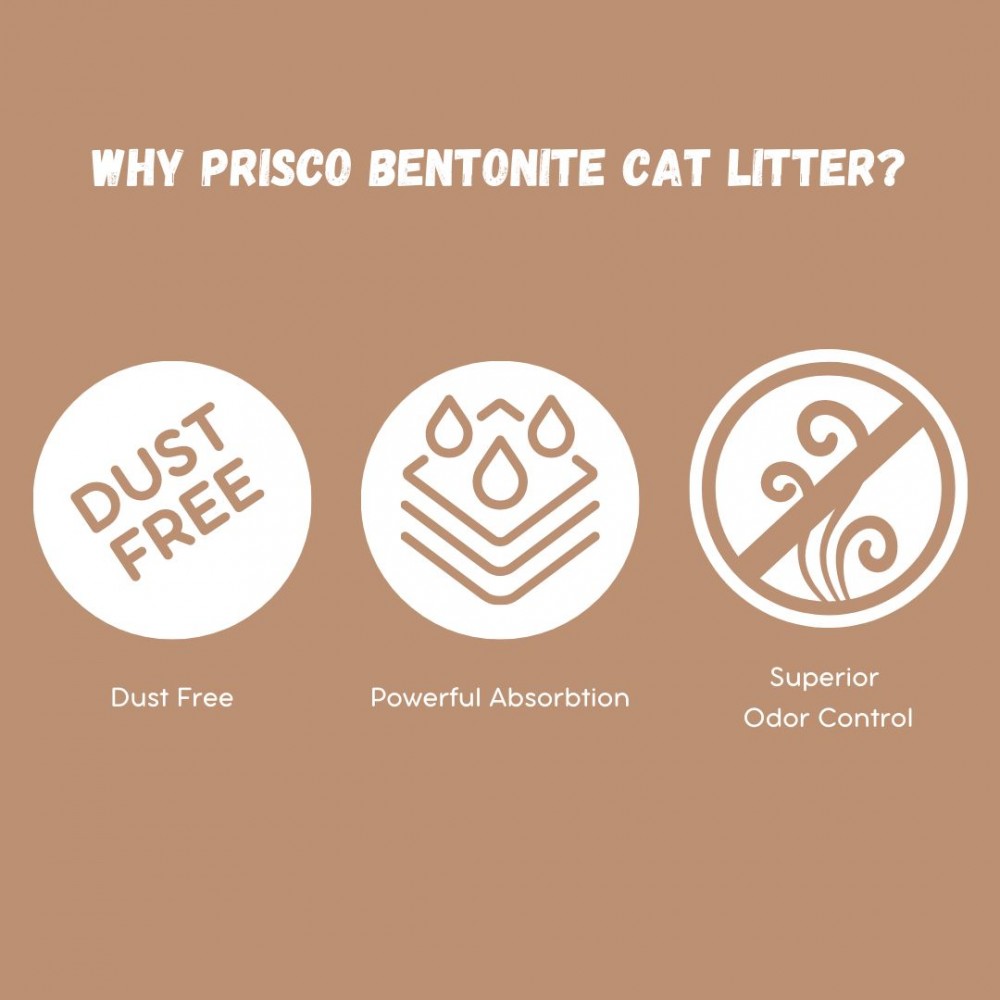 PRISCO 10L COFFEE BENTONITE CAT LITTER image 4