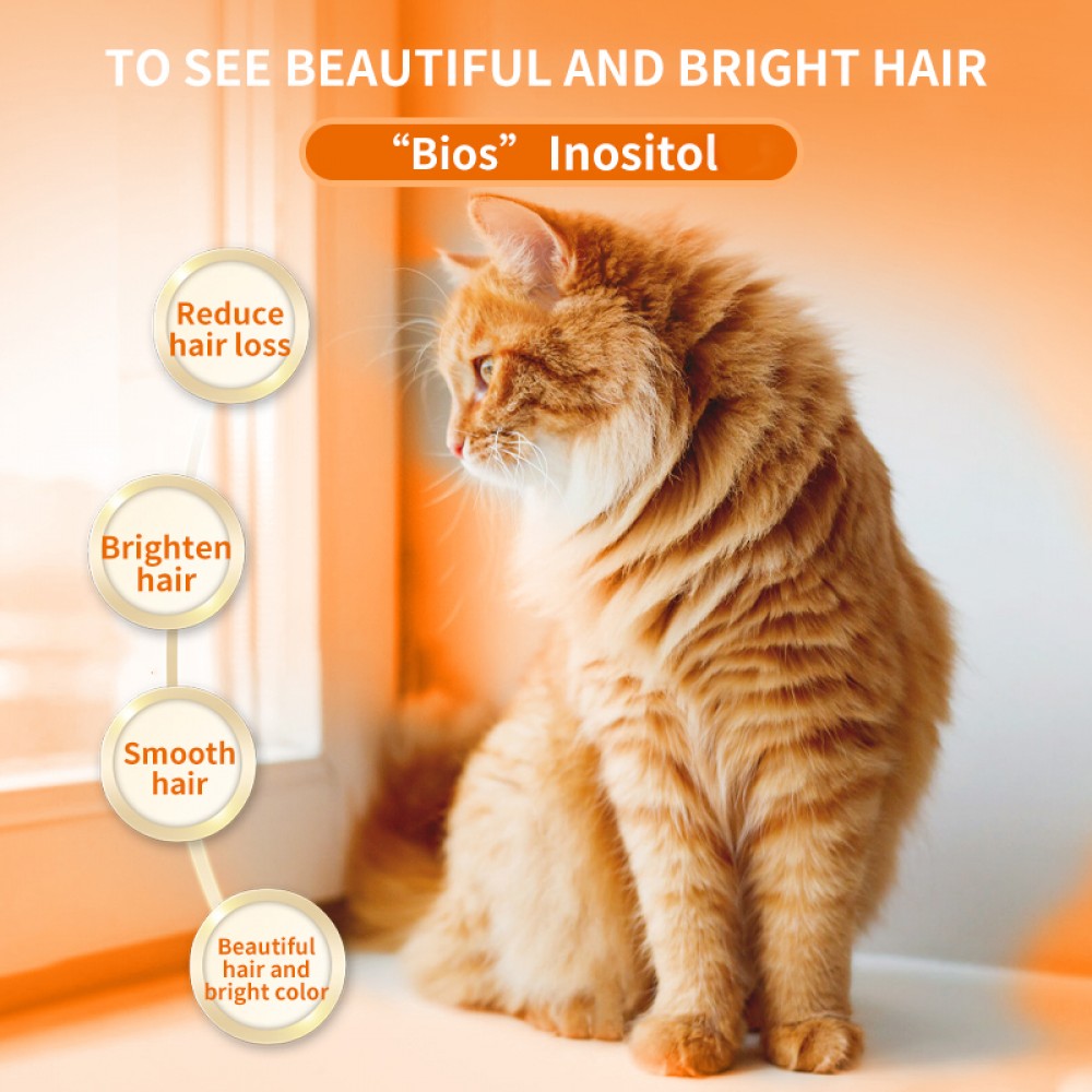 PUAINTA LECITHIN FOR CATS 200G image 3