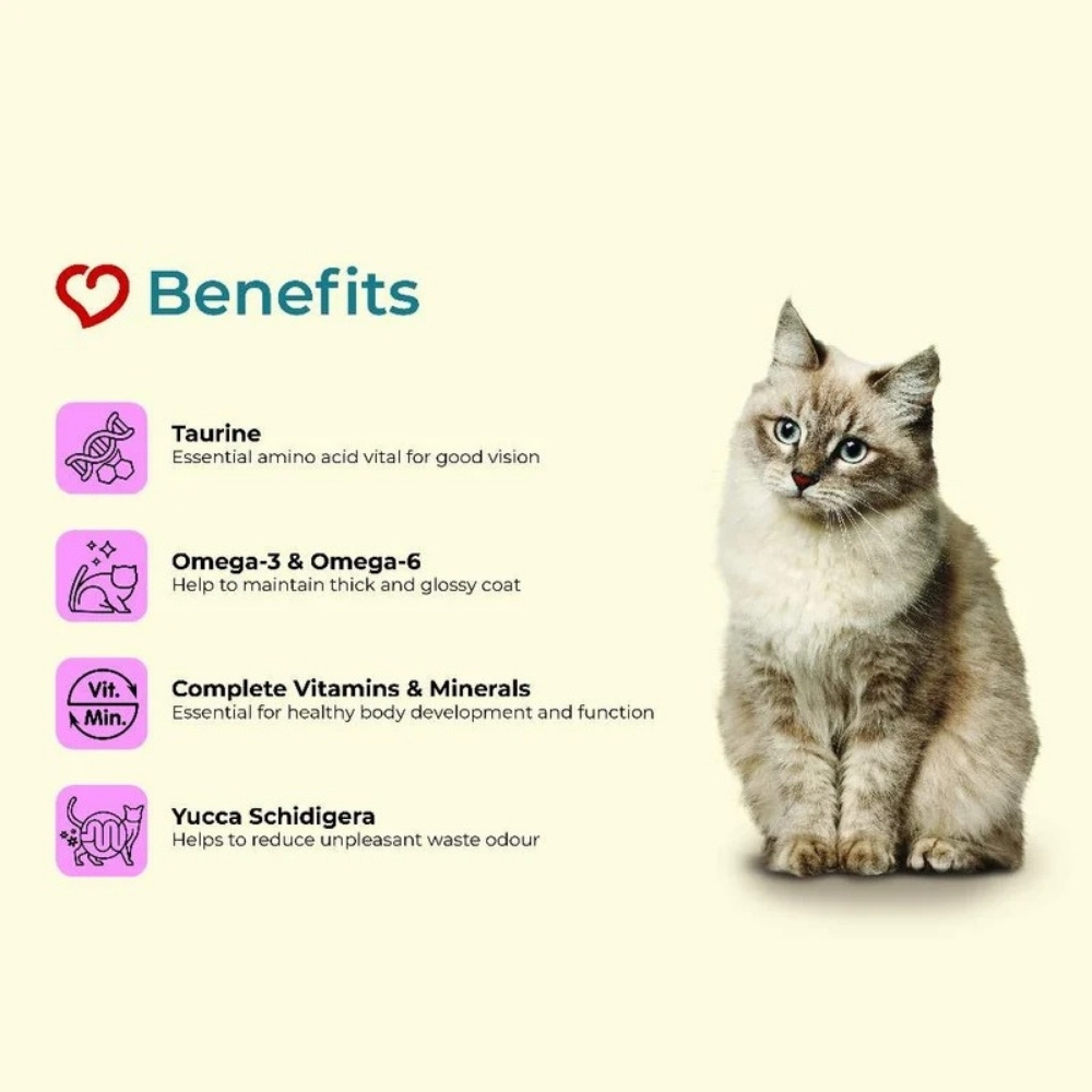 CATTYLOV 1KG TUNA DRY CAT FOOD image 3