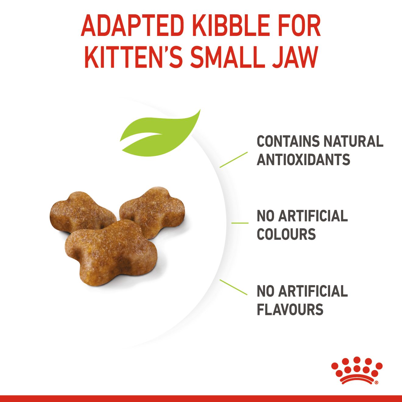 ROYAL CANIN KITTEN 36 0.4KG DRY CAT FOOD image 5