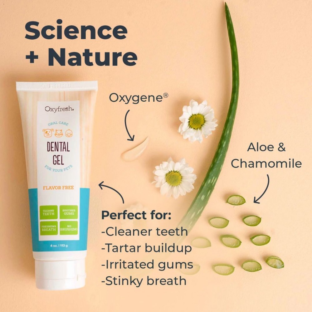 OXYFRESH 30ML / 1OZ PET DENTAL GEL image 3