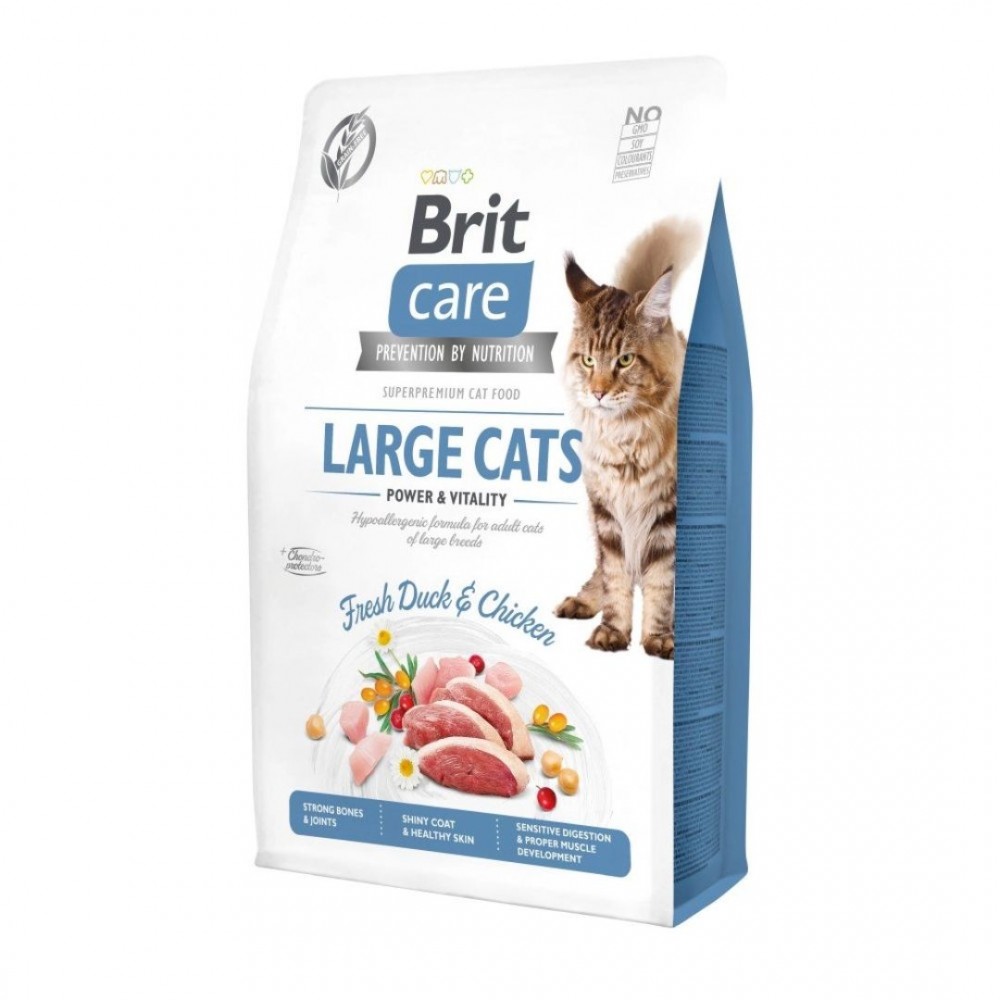 BRIT CARE CAT 2KG GRAIN FREE LARGE CATS POWER & VITALITY DRY CAT FOOD image 2