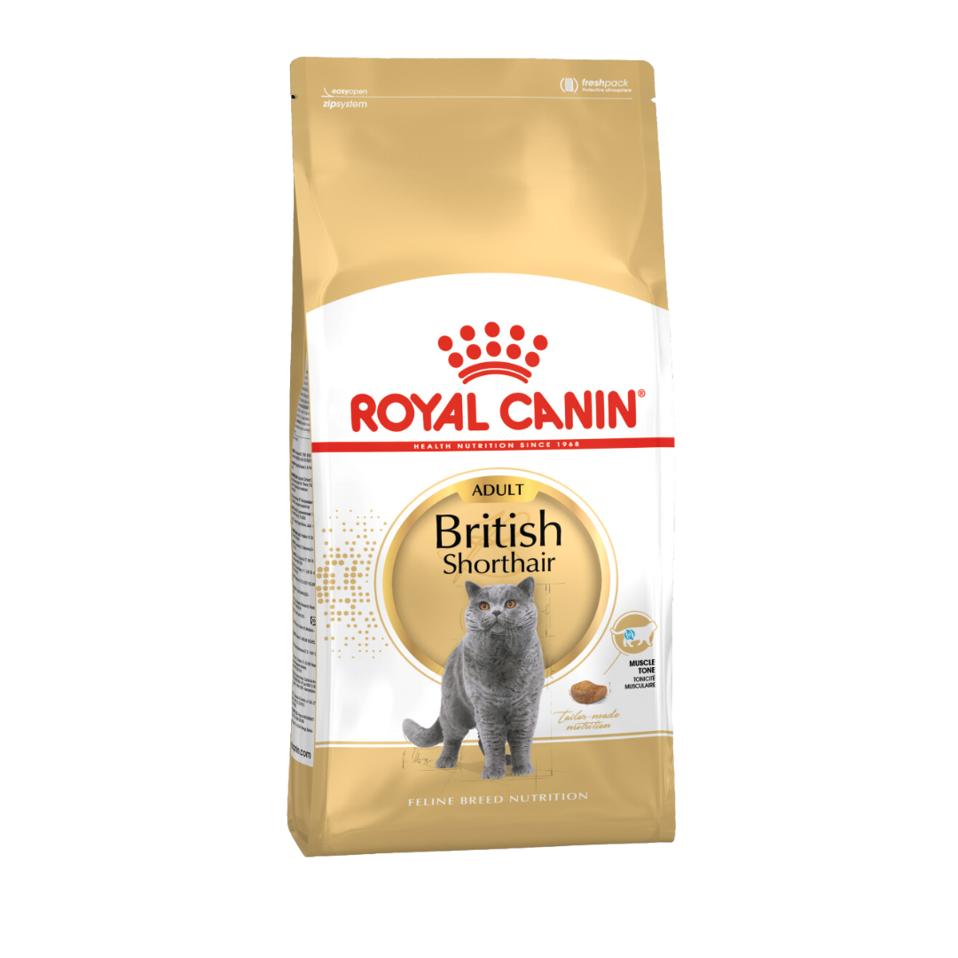 Royal Canin British Shorthair Adult Dry Cat Food image 4
