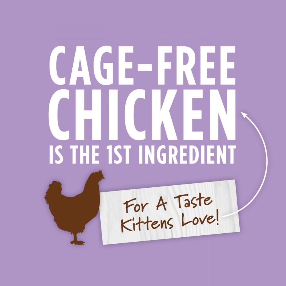 INSTINCT CAT ORIGINAL 156G (5.5OZ) REAL CHICKEN RECIPE FOR KITTENS WET CAT FOOD image 3