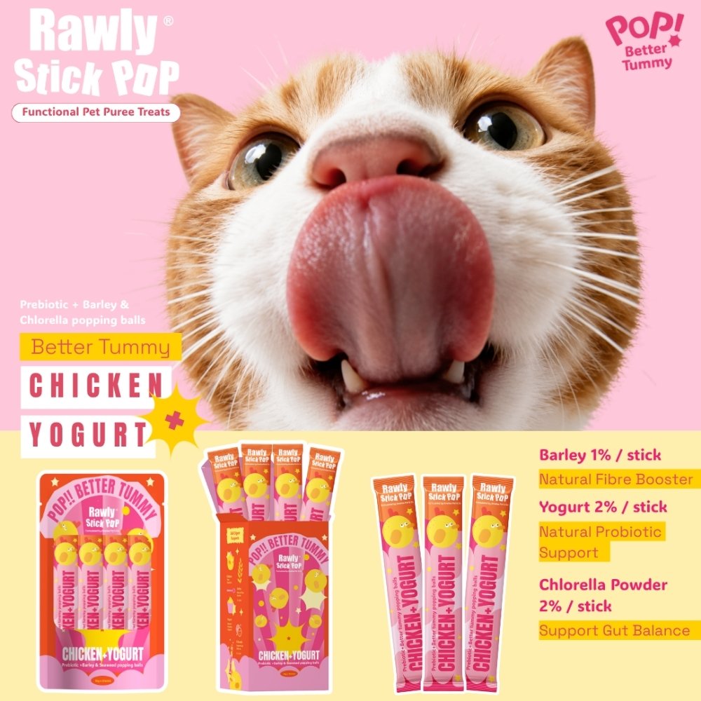 AMELISA RAWLY STICK POP PET PUREE 16GX20+2 CHICKEN & YOGURT DOG & CAT LICK image 4