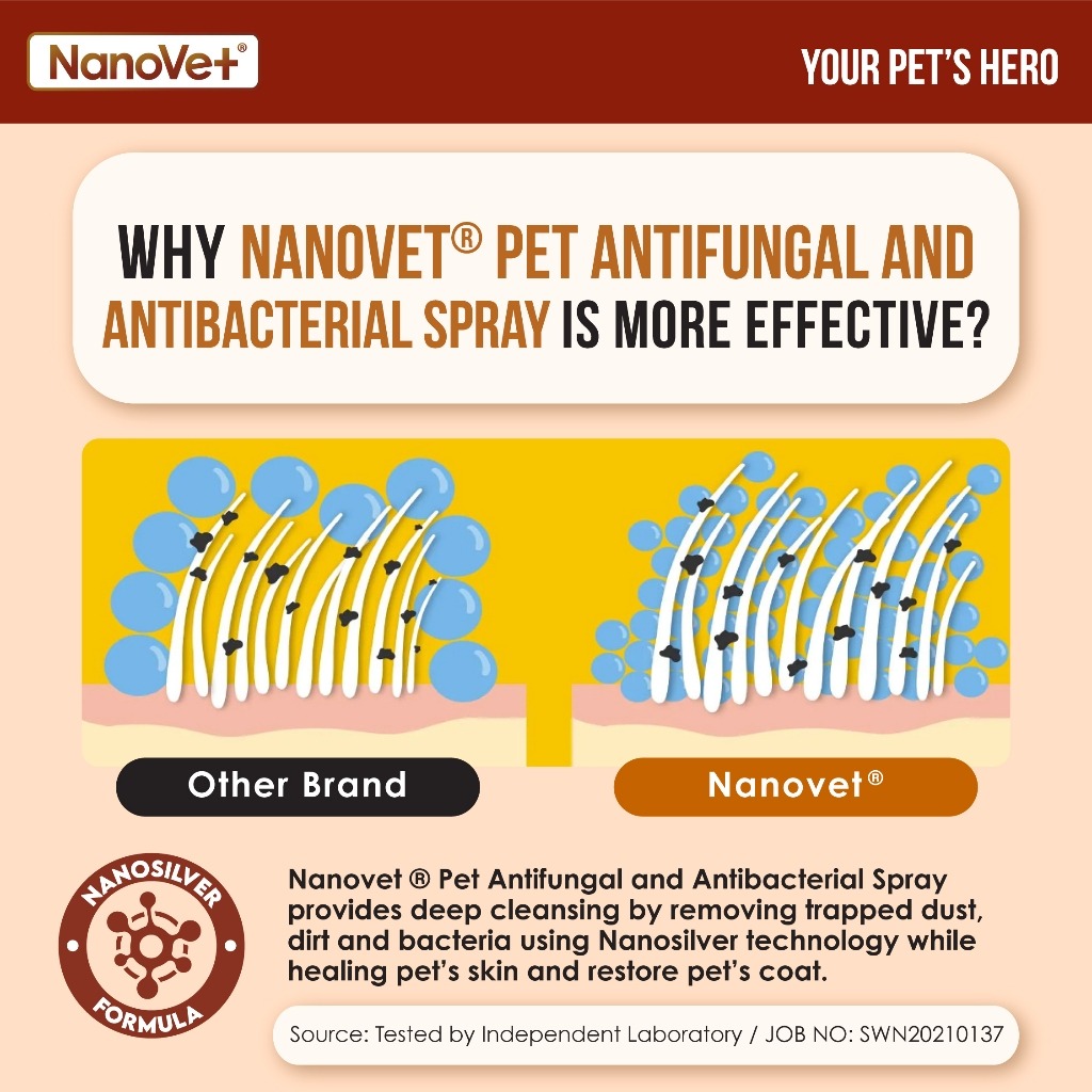 NANOVET ANTIFUNGAL & ANTIBACTERIAL SPRAY 100ML image 2
