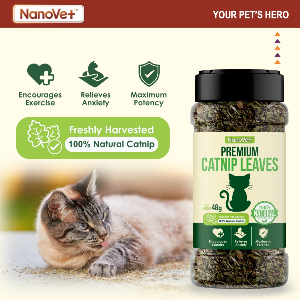 NANOVET CATNIP LEAVES 48G image 3
