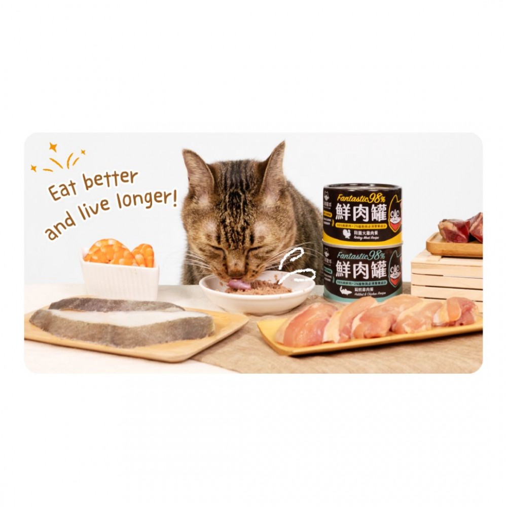 DOGCATSTAR FANTASTIC 98% MEAT CANNED 80G TURKEY WET CAT FOOD image 4