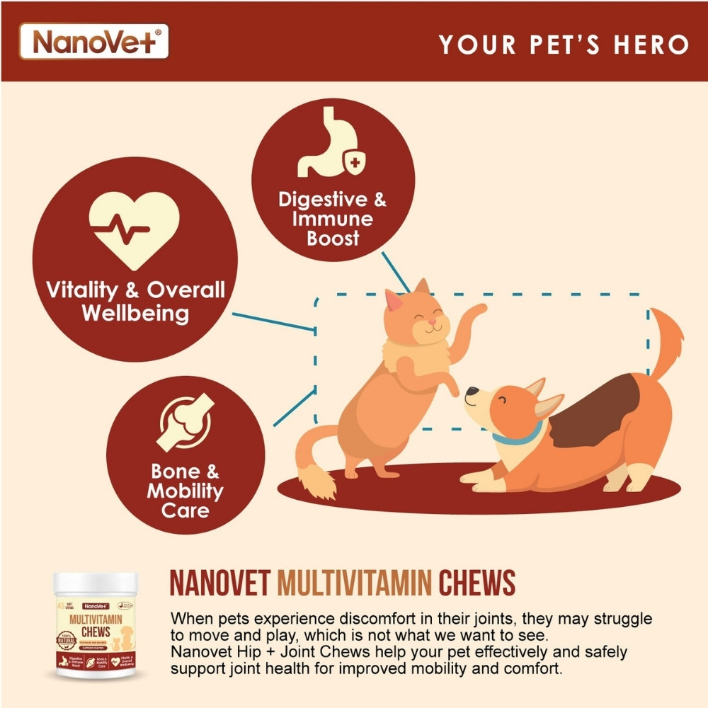 NANOVET MULTIVITAMIN CHEWS 120PCS image 5