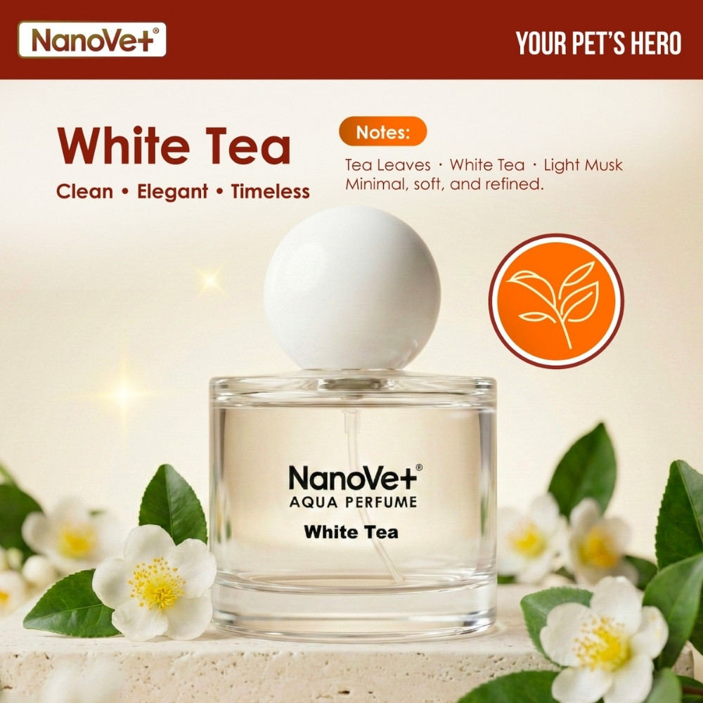 NANOVET AQUA PERFUME 50ML BELLFLOWER image 4