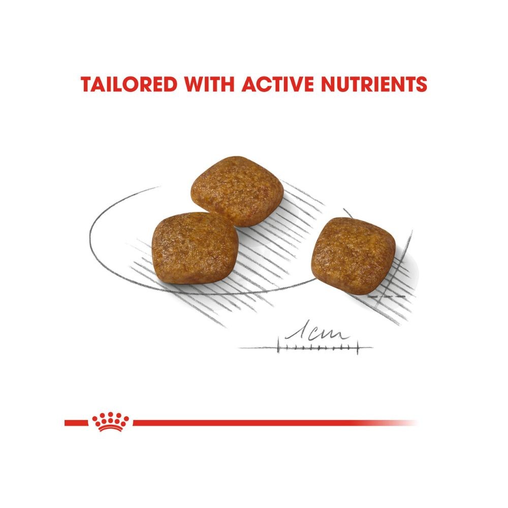 ROYAL CANIN MINI URINARY CARE 3KG DRY DOG FOOD image 3
