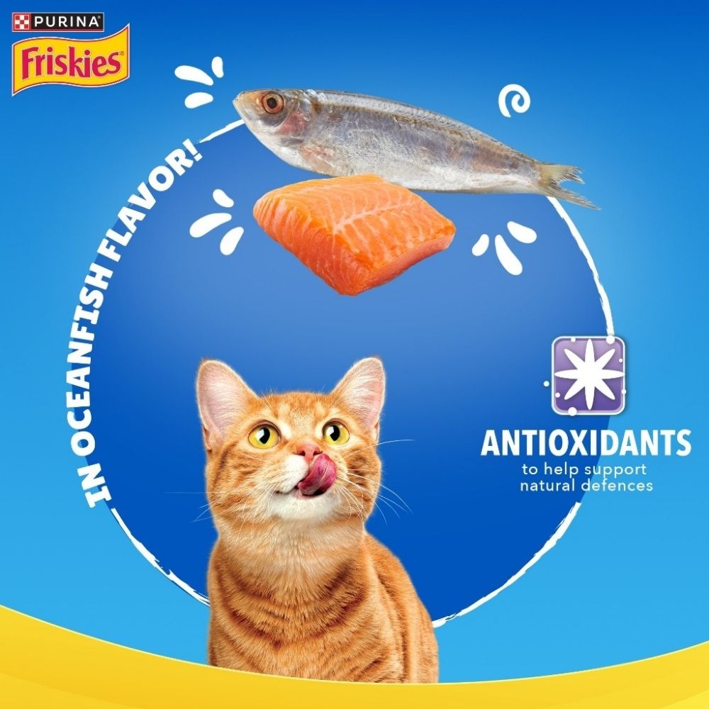 FRISKIES 70G ADULT GRAVY OCEAN FISH POUCH WET CAT FOOD image 5