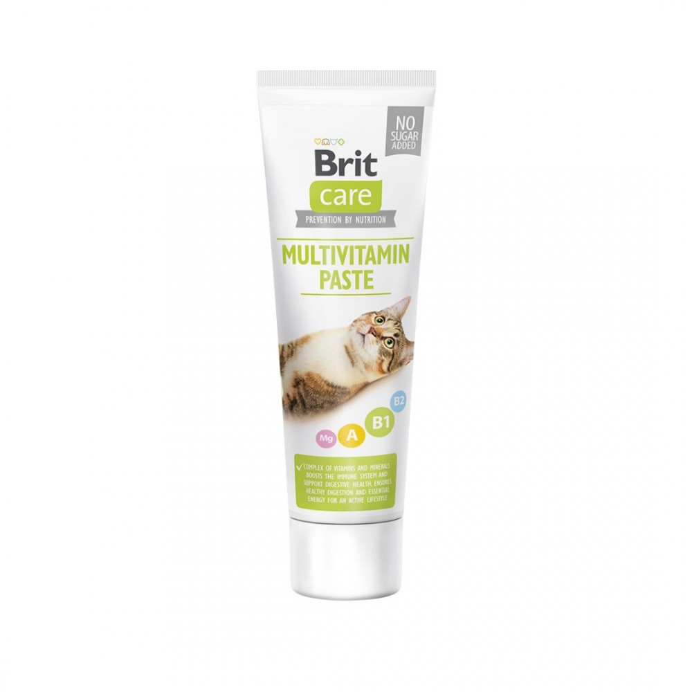 BRIT CARE CAT 100G PASTE MULTIVITAMIN image 2