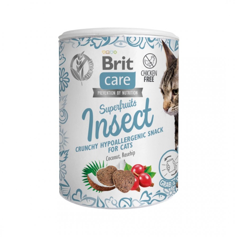 BRIT CARE CAT 100G SUPERFRUITS SNACK INSECT image 2