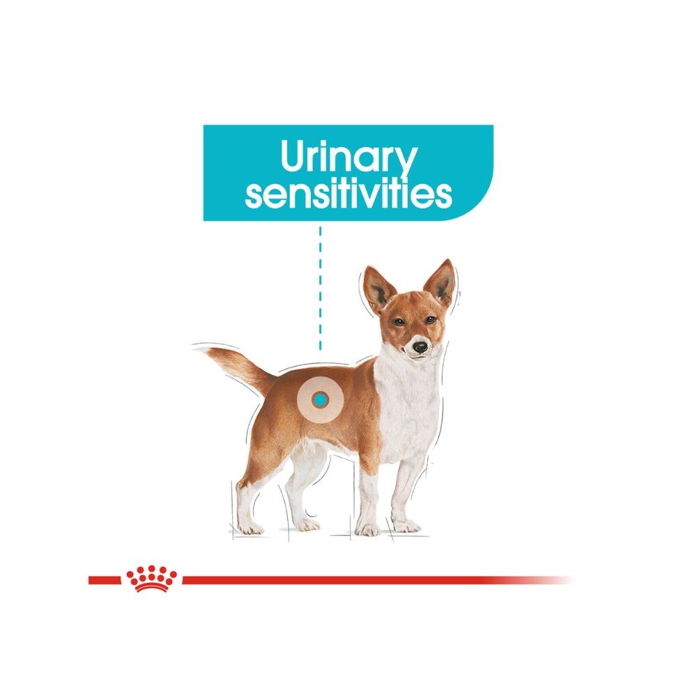 ROYAL CANIN MINI URINARY CARE 3KG DRY DOG FOOD image 6