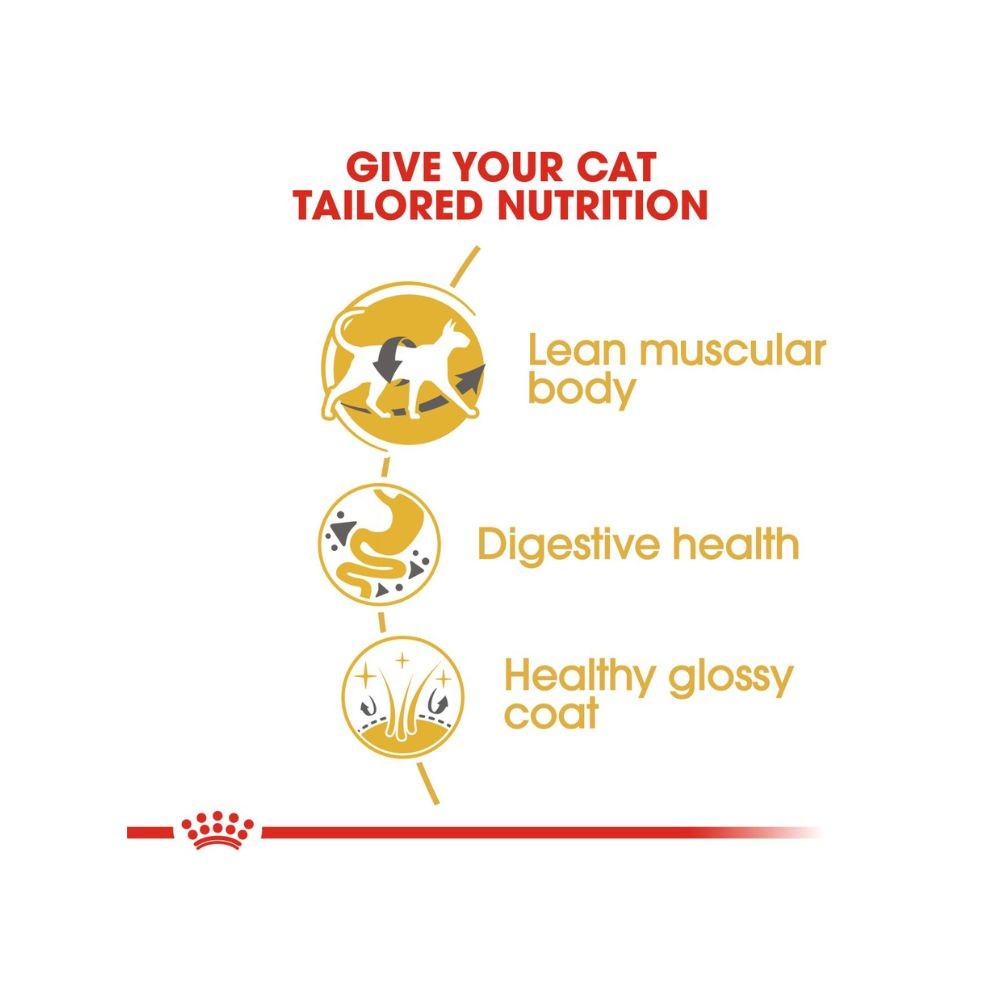 ROYAL CANIN SIAMESE ADULT 2KG DRY CAT FOOD image 3