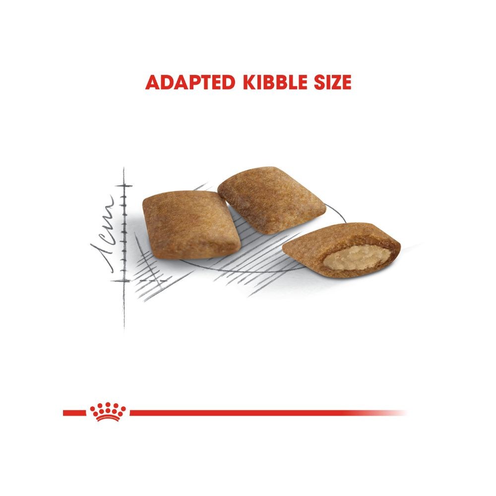 ROYAL CANIN AGEING 12+ (2KG) DRY CAT FOOD image 5