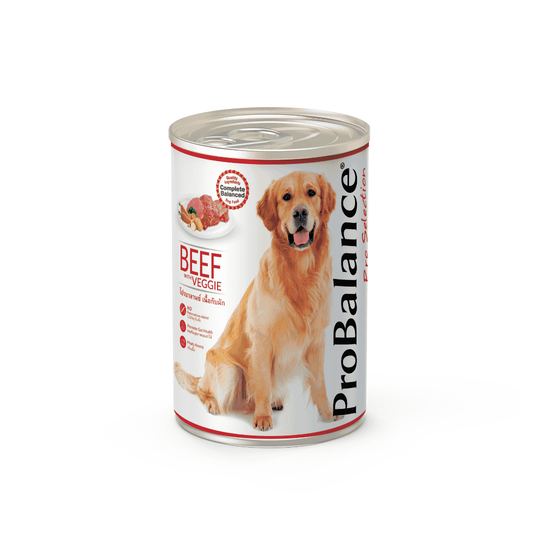 PROBALANCE 400G WITH VEGGIE WET DOG FOOD image 2