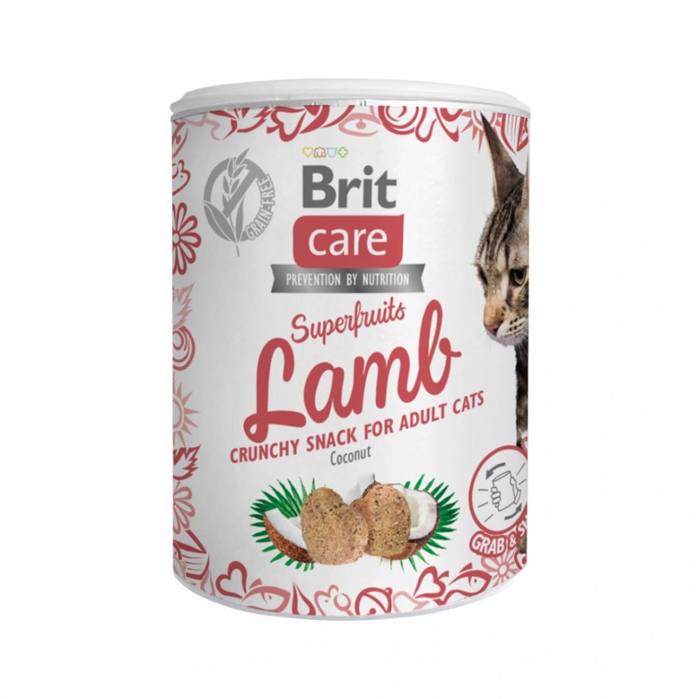 BRIT CARE CAT 100G SUPERFRUITS SNACK LAMB image 2
