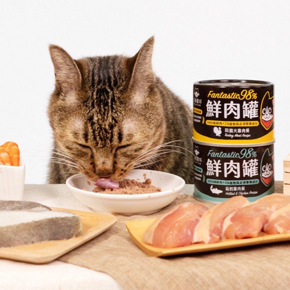 DOGCATSTAR FANTASTIC 98% MEAT CANNED 80G BONITO & SHRIMP WET CAT FOOD image 7
