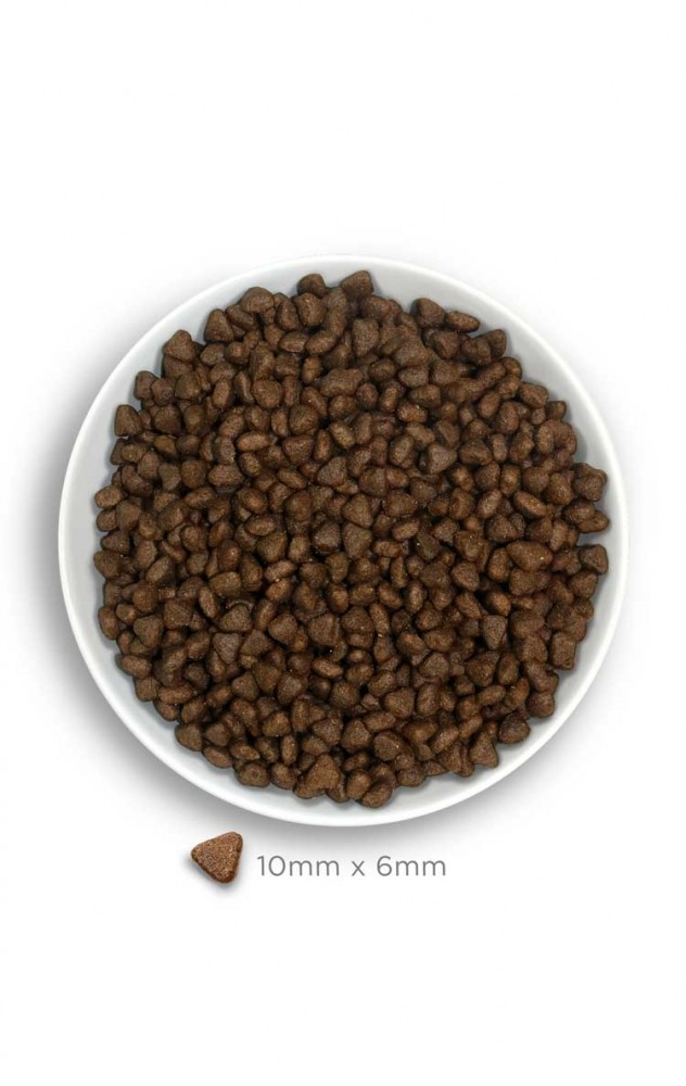 AMANOVA DOG 7KG PUPPY SENSITIVE ALL BREEDS SALMON & PUMPKIN DRY DOG FOOD image 2