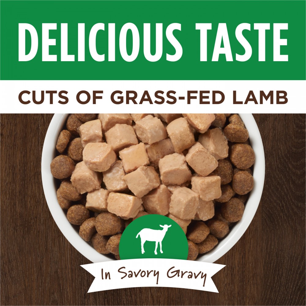 INSTINCT DOG HEALTHY CRAVINGS 85G (3OZ) REAL LAMB RECIPE WET DOG POUCH image 2