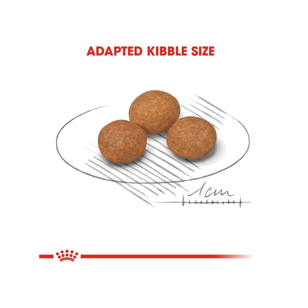 ROYAL CANIN XSMALL ADULT 8+ (1.5KG) DRY DOG FOOD image 4