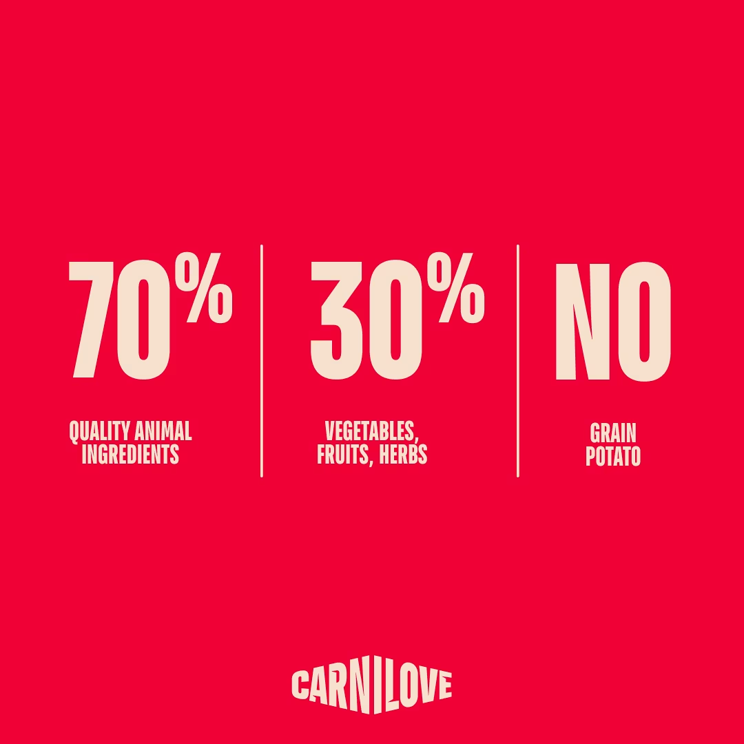 CARNILOVE DOG 12KG SALMON & TURKEY ADULT LARGE BREED DRY DOG FOOD image 7