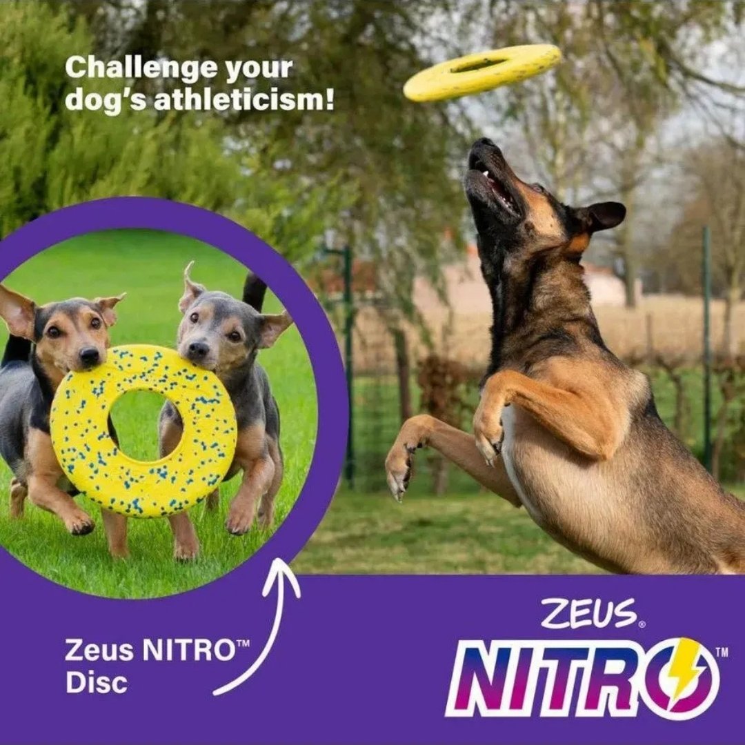 ZEUS DOG NITRO FLYING DISC 24CM image 4