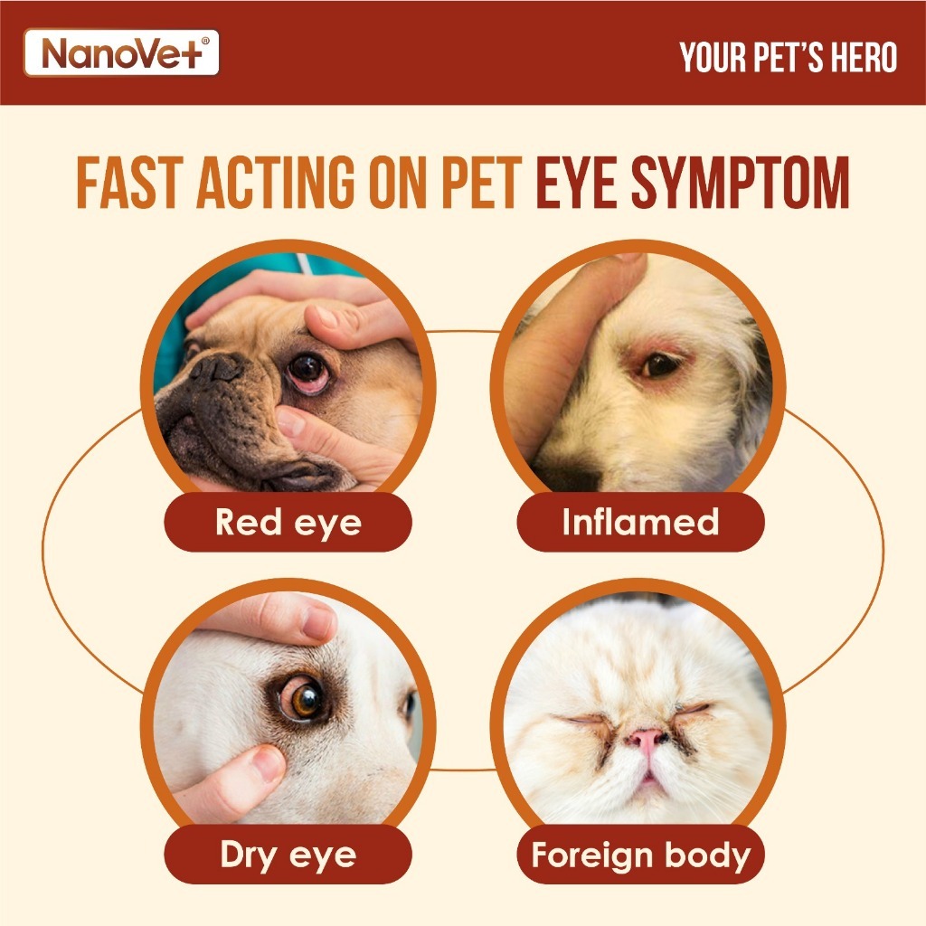 NANOVET EYE + STAIN SOLUTION KIT image 6