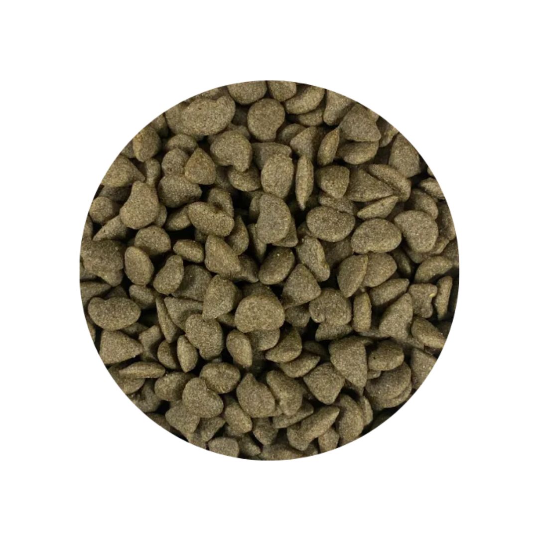 CARRY'S MEAL TIME ECO CAT ADULT TUNA & CHICKEN 10KG DRY CAT FOOD image 2