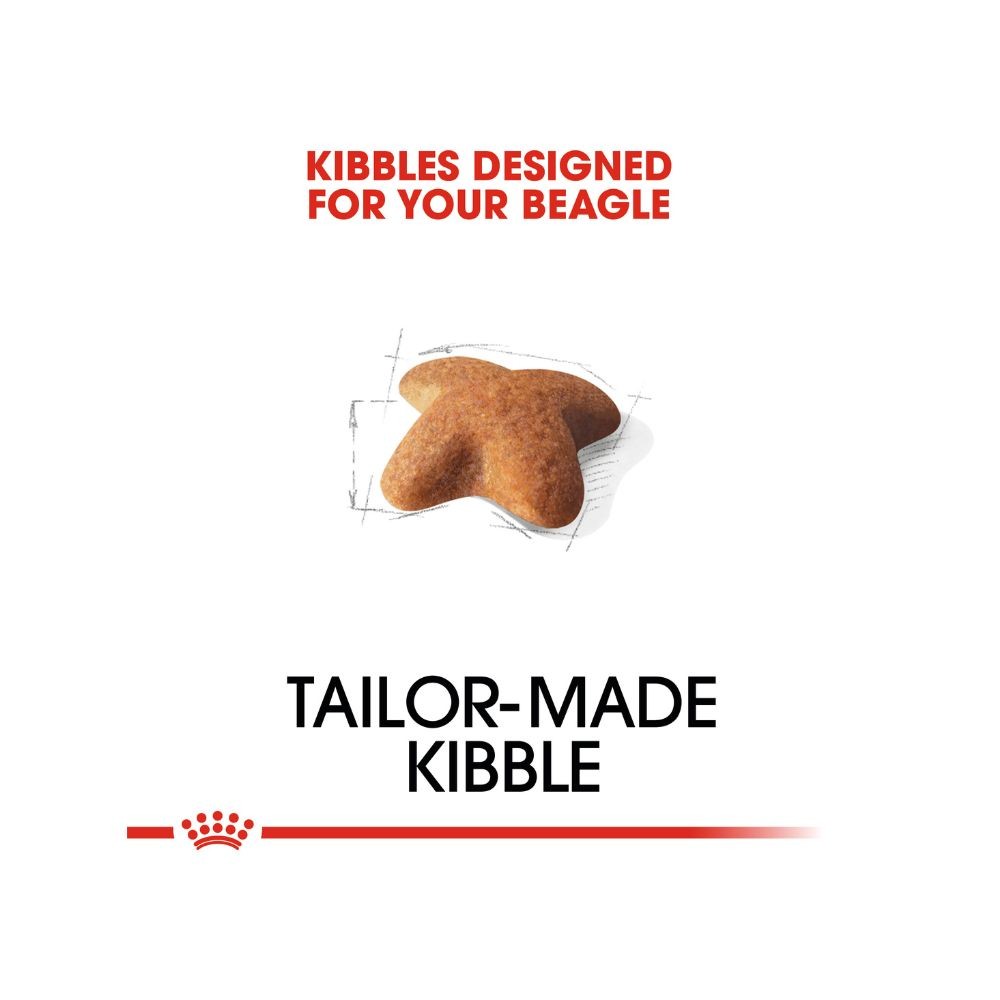ROYAL CANIN BEAGLE ADULT 3KG DRY DOG FOOD image 4