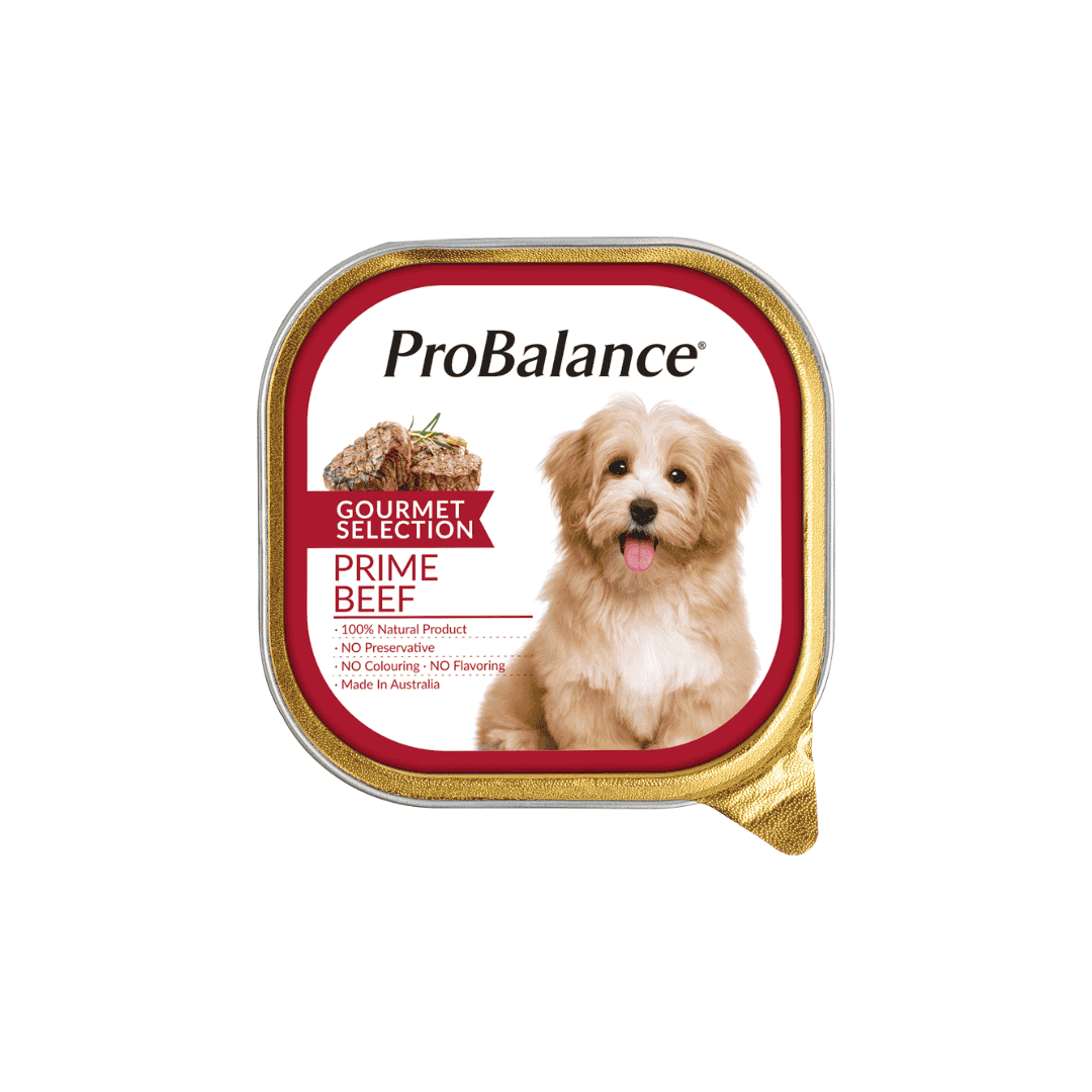 PROBALANCE GOURMET SELECTION 100G WET DOG FOOD image 2