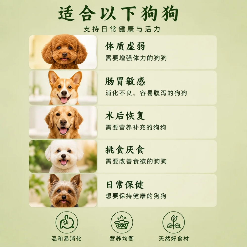 MYDOGKING SINGLE PACK 100G SLOW BRAISED BEEF WITH WINTER MELON COOKED DOG FOOD image 6