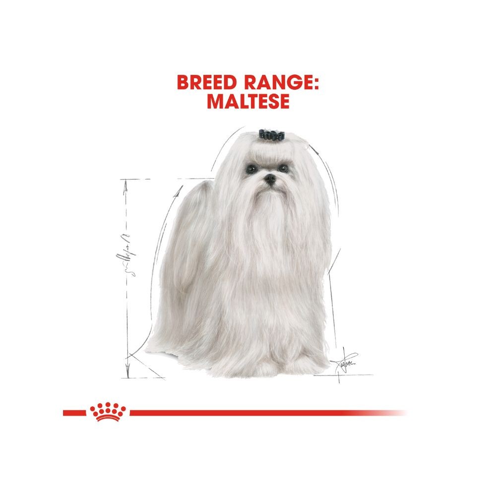 ROYAL CANIN MALTESE ADULT 1.5KG DRY DOG FOOD image 5