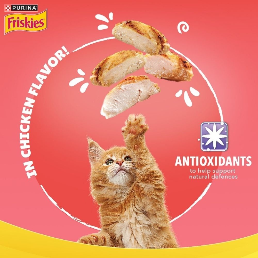 FRISKIES 70G KITTEN GRAVY CHICKEN POUCH WET CAT FOOD image 3
