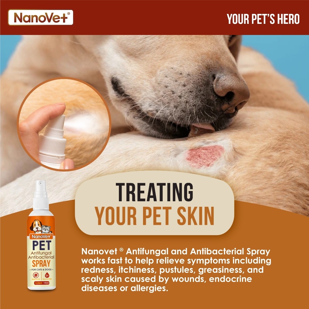 NANOVET ANTIFUNGAL & ANTIBACTERIAL SPRAY 100ML image 3