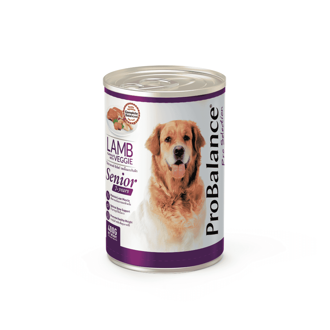 PROBALANCE 400G WITH VEGGIE SENIOR WET DOG FOOD	 image 3