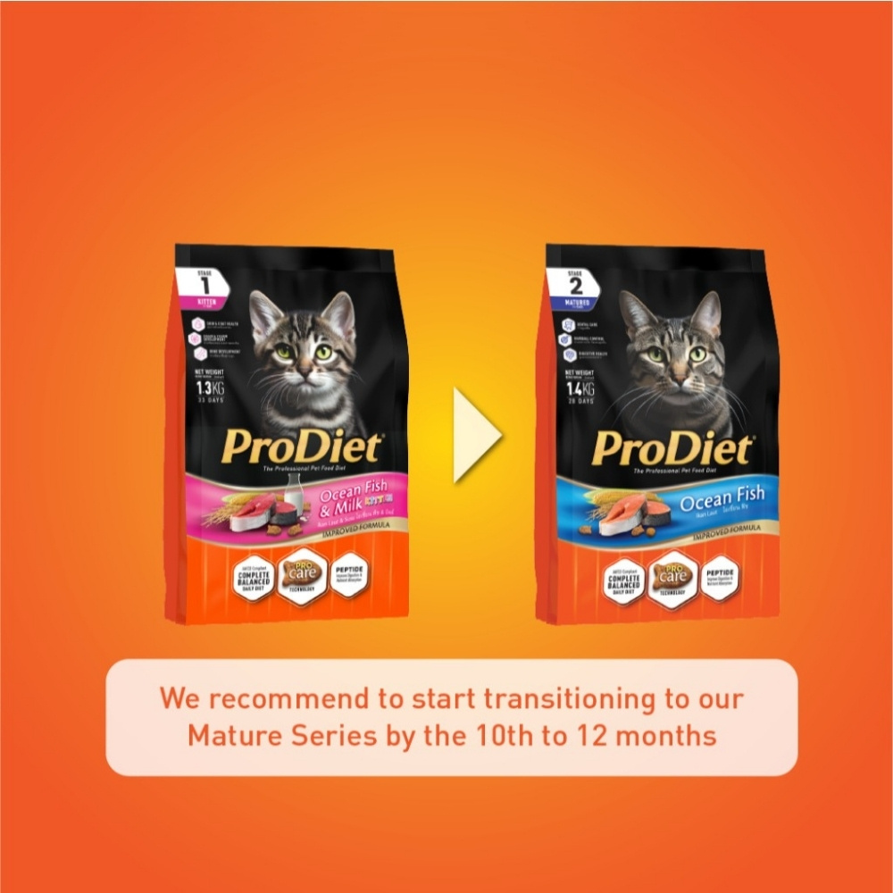 PRODIET 500G KITTEN OCEAN FISH & MILK DRY CAT FOOD image 6
