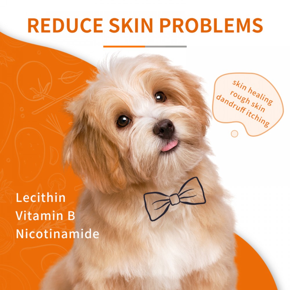PUAINTA LECITHIN FOR DOGS 300G image 7