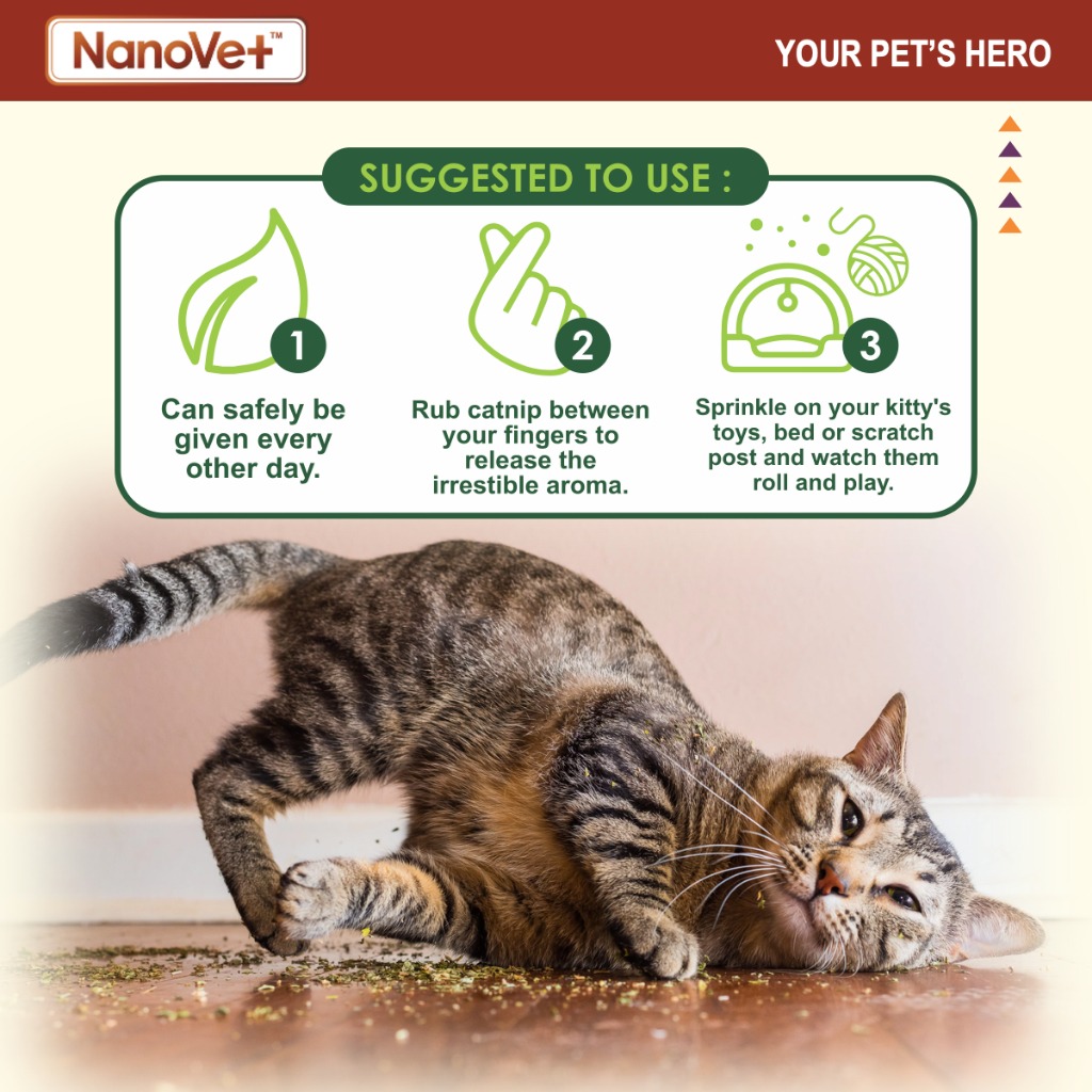 NANOVET CATNIP LEAVES 48G image 5