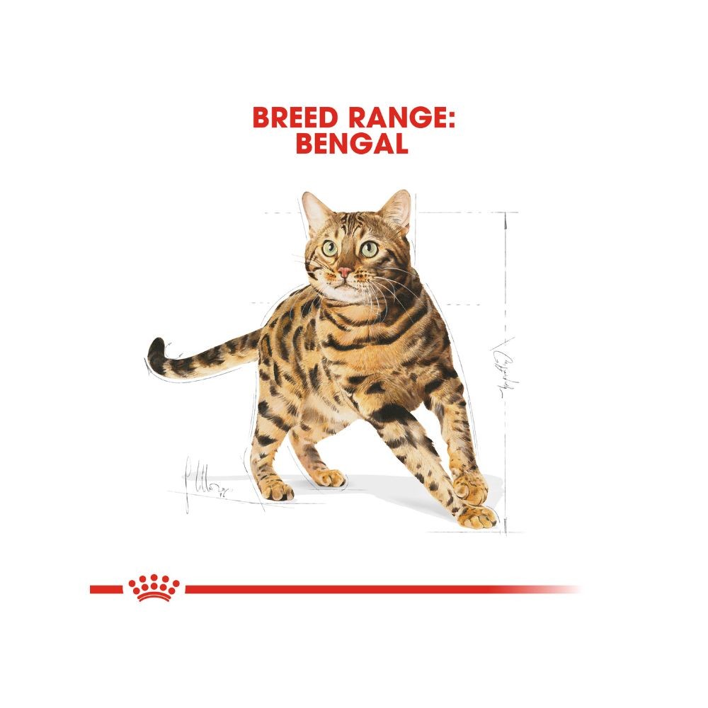 ROYAL CANIN BENGAL ADULT 10KG DRY CAT FOOD image 5