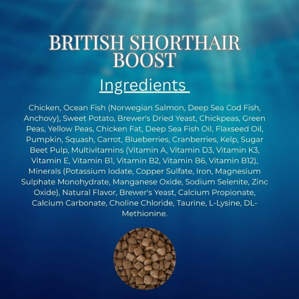 LOYAL BEAST HOLISTIC GRAIN FREE 7KG BRITISH SHORTHAIR BOOST DRY CAT FOOD image 2