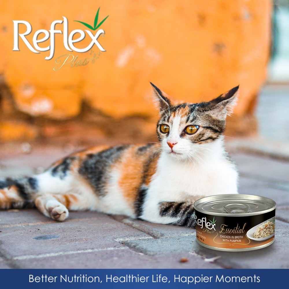 REFLEX PLUS ESSENTIAL CHICKEN IN BROTH WITH PUMPKIN 70G WET CAT FOOD image 2
