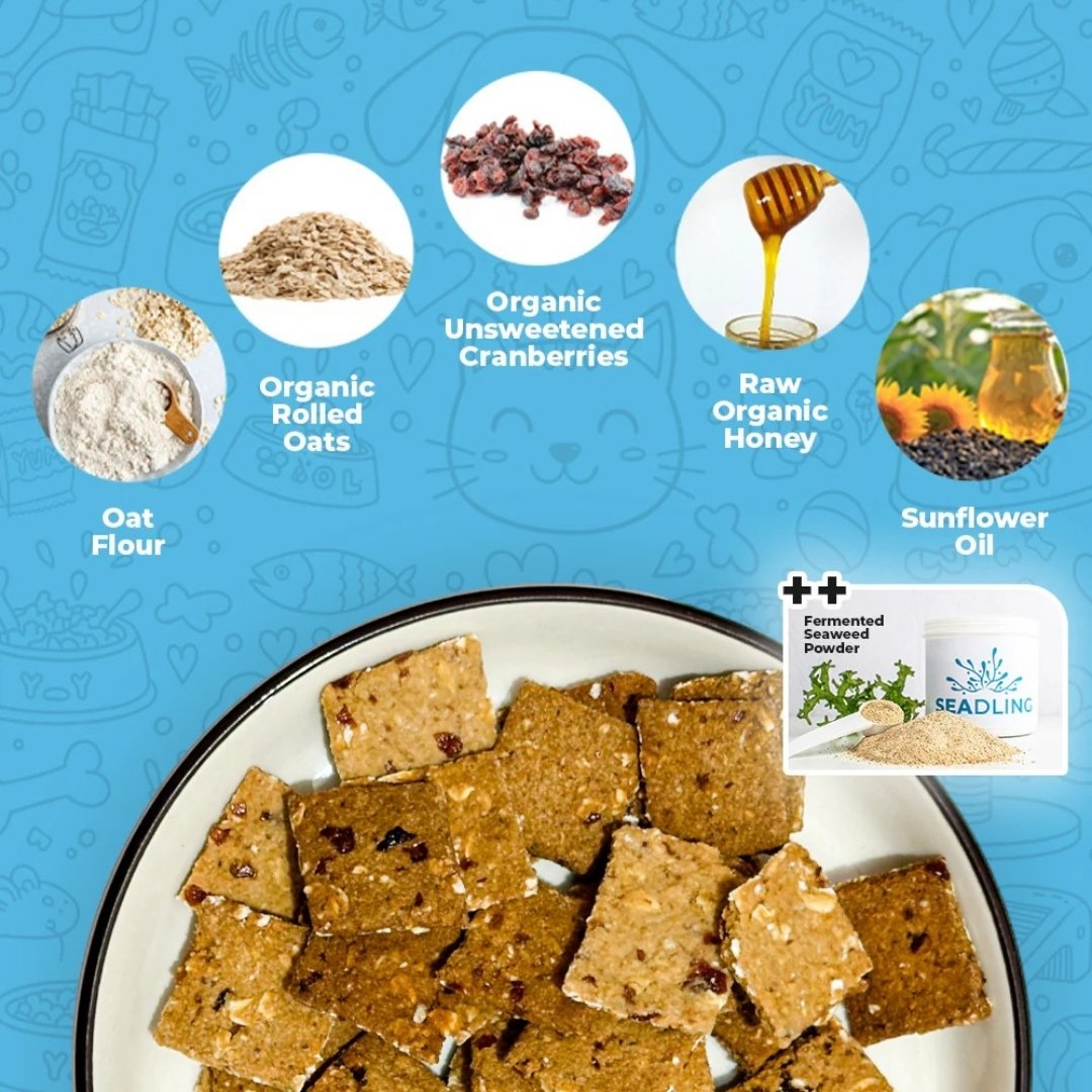 BARKERY OVEN DOG BISCUIT 180G URINARY BOOST CRANBERRY & OATS DOG SNACK image 3