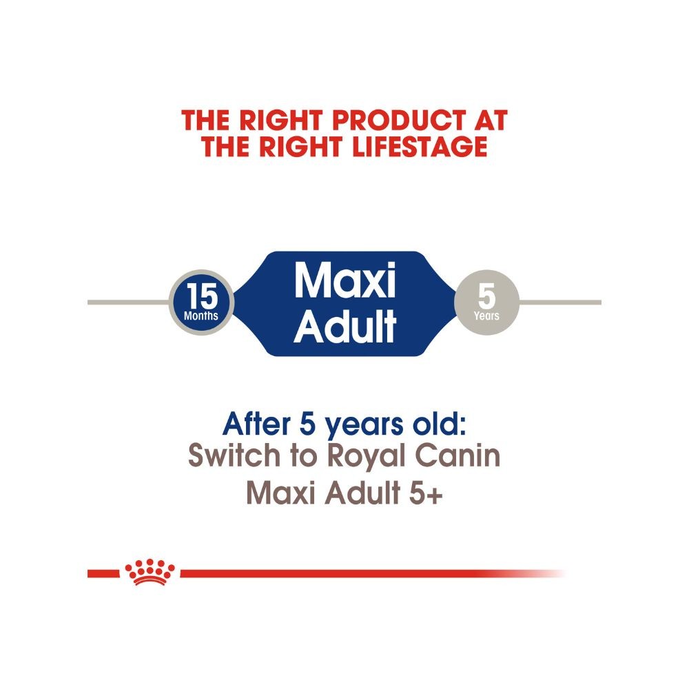 ROYAL CANIN MAXI ADULT 4KG DRY DOG FOOD image 4