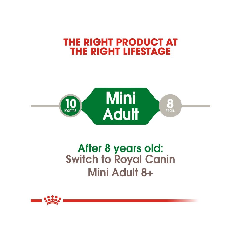 ROYAL CANIN MINI ADULT 8KG DRY DOG FOOD image 4
